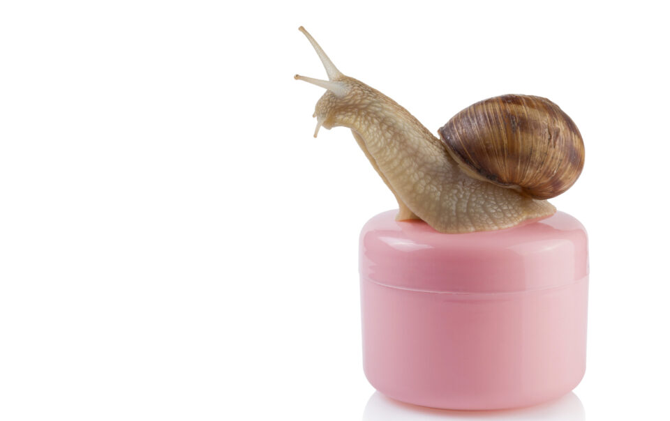 snail mucin skincare
